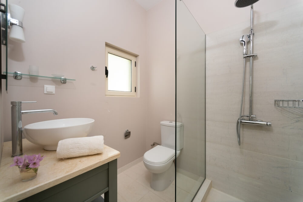 Compact en-suite bathroom at Elyonas Cottage with walk-in shower and natural light